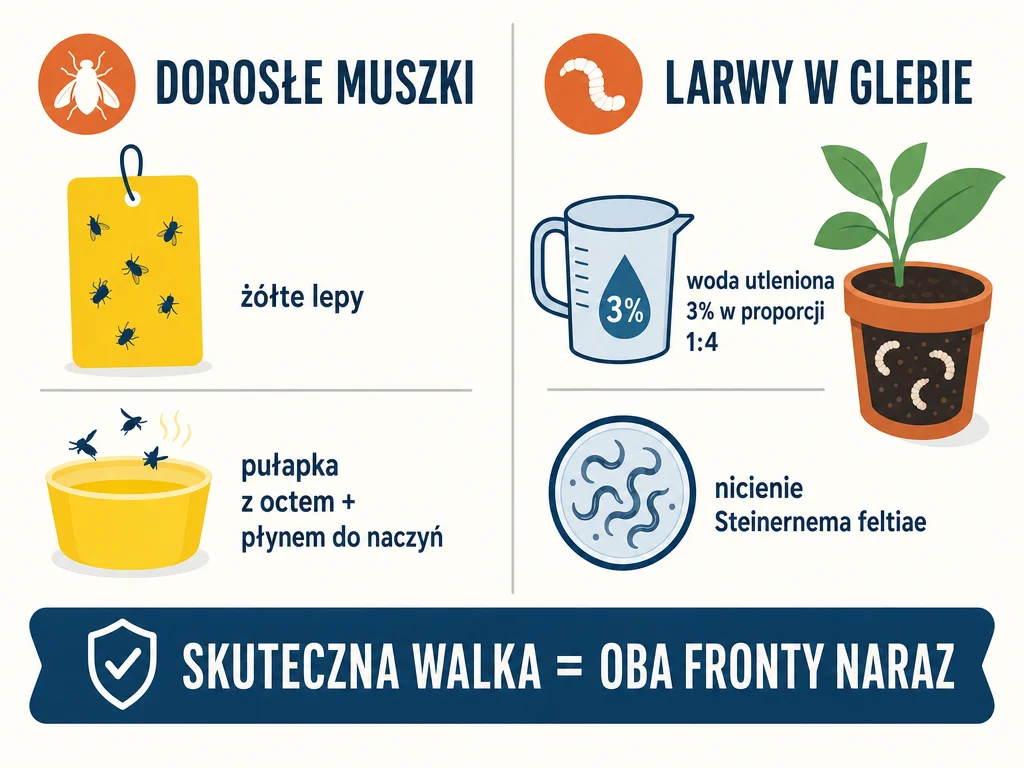 Infografika_dwoch_frontow_walki_z_ziemiorkami