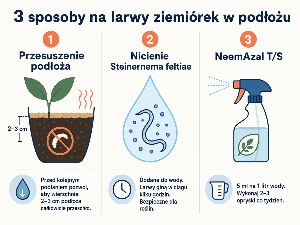 Infografika porównująca trzy metody zwalczania larw ziemiórek: przesuszenie podłoża, nicienie i NeemAzal.