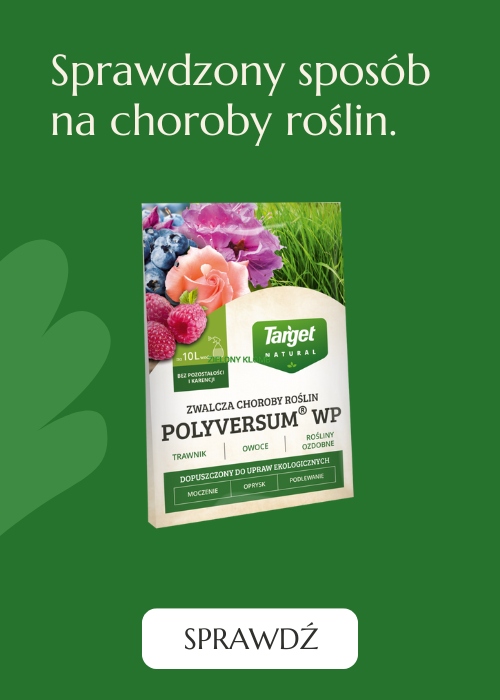 Polyversum