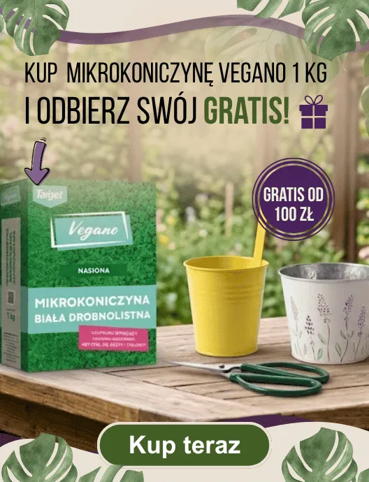 Próg rabatowy 100 - 149,99 zł