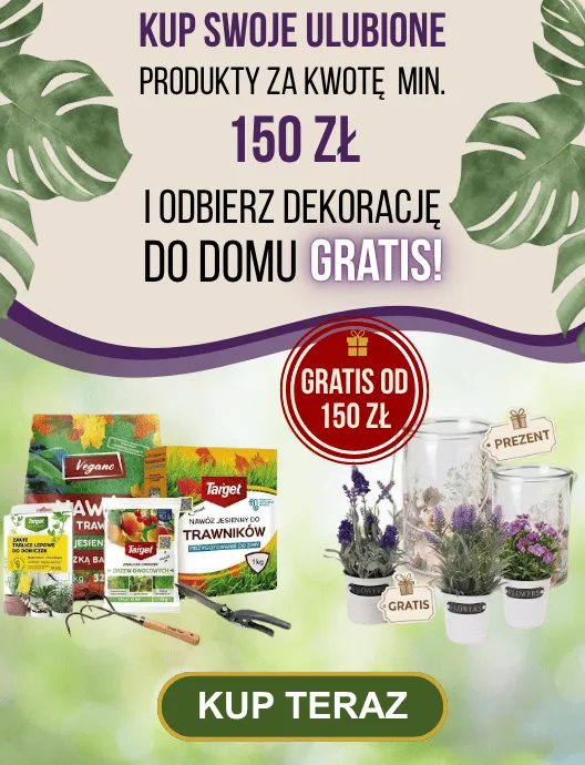 Próg rabatowy od 150 zł