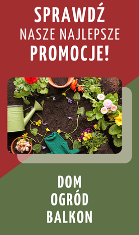 baner promocje