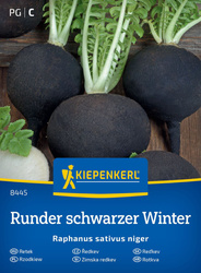 Rzodkiew Runder schwarzer Winter Kiepenkerl
