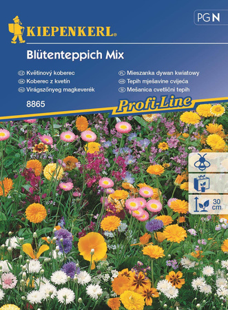 Mieszanka dywan kwiatowy Blütenteppich Mix