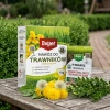 Zestaw P-drakol 20 g + Nawóz do trawnika zagęszczający 1 kg