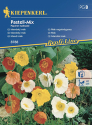 Mak Nagołodygowy Pastell-Mix – Kiepenkerl