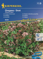 Oregano (lebiodka pospolita) mehrjährig Origanum vulgare