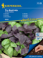 Bazylia ,,Try-Basil-Mix’’ - Kiepenkerl