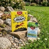 Ants Control – Granulat Na Mrówki – 1 kg Target + Dicotex 202 SL - Na Chwasty Na Trawniku – 100 ml Target (ZESTAW)