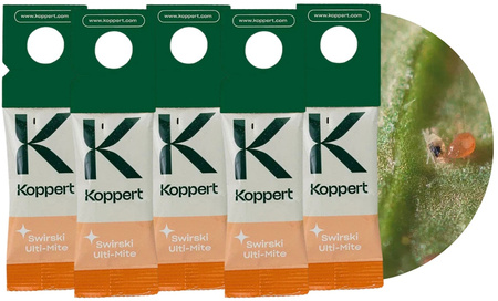 Dobroczynek Swirski 5 szt - Vegano