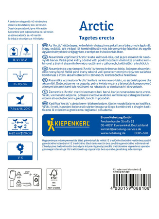 Aksamitka wzniesiona Arctic Kiepenkerl