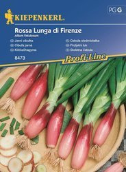 Cebula siedmiolatka Rossa Lunga di Firenze
