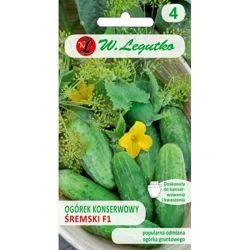 Ogórek Gruntowy Śremski F1 5 g - Legutko