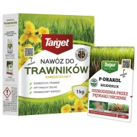 zestaw