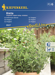 Oregano 'Kreta' - Nasiona - Kiepenkerl