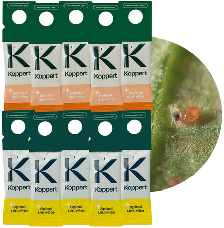 Zestaw Dobroczynek Kalifornisjki 5 szt + Dobroczynek Swirski 5 szt - Vegano