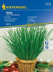 Szczypiorek Nelly Allium schoenoprasum