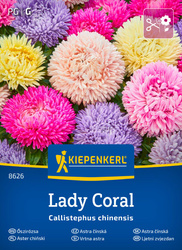 Aster chiński Lady Coral Mix Callistephus chinensis