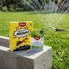 Ants Control – Granulat Na Mrówki – 1 kg Target + Dicotex 202 SL - Na Chwasty Na Trawniku – 100 ml Target (ZESTAW)