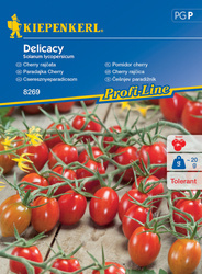 Pomidor Cherry Delicacy – Kiepenkerl