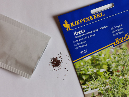 Oregano 'Kreta' - Nasiona - Kiepenkerl