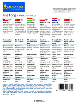 Słonecznik King Kong - Kiepenkerl