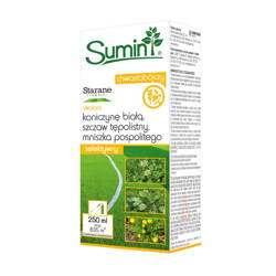 Starane Trawniki Zwalcza Chwasty 250 ml