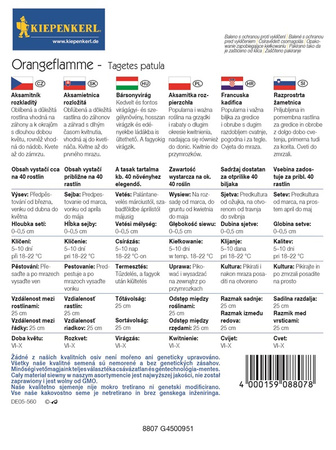 Aksamitka rozpierzchła 'Orangeflamme' - Nasiona - Kiepenkerl