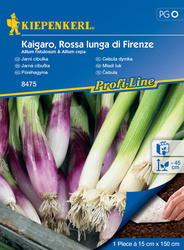 Cebula dymka Kaigaro ,,Rossa lunga di Firenze‘’ – Kiepenkerl