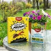 Ants Control – Granulat Na Mrówki – 1 kg Target + Starane Trawniki – zwalcza chwasty na trawniku – 100 ml Target (ZESTAW)