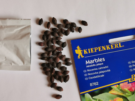 Dziwaczek wielobarwny 'Marbles' - Nasiona - Kiepenkerl