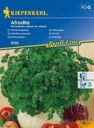 Pietruszka Afrodite Kiepenkerl