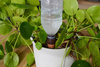 Nawadniacze autonomiczne  Aquago - 2 szt  Jardbric 