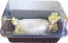 Zestaw do uprawy grzybów – Boczniak cytrynowy – 3 l Exotic Grow