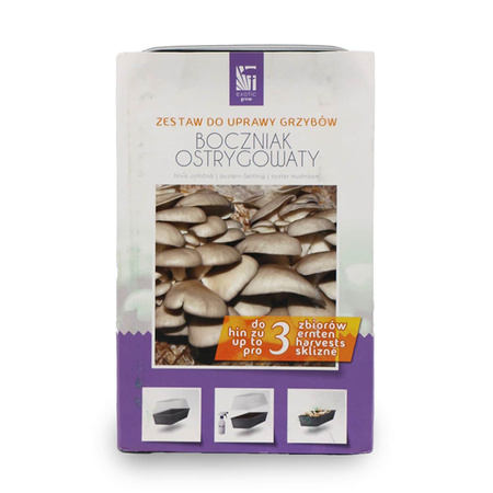 Zestaw do uprawy grzybów – Boczniak Ostrygowaty – 3 l Exotic Grow