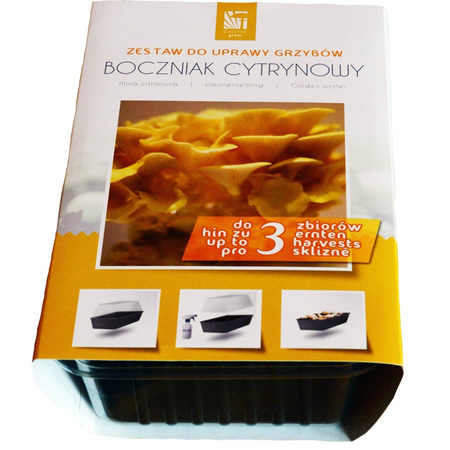Zestaw do uprawy grzybów – Boczniak cytrynowy – 3 l Exotic Grow