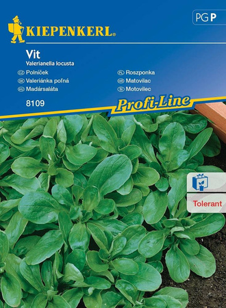 Roszponka Vit Valerianella locusta