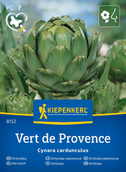 Karczoch zwyczajny Vert de Provence Cynara cardunculus var. scolymus