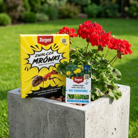 Ants Control – Granulat Na Mrówki – 1 kg Target + Chwastox Nowy Trio 390 SL– 100 ml Target (ZESTAW)