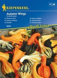 Dynia ozdobna Autumn Wings Kiepenkerl