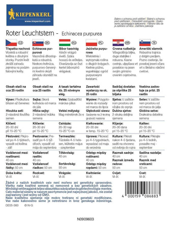 Jeżówka purpurowa Roter Leuchtstern
