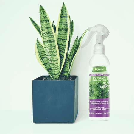 Regenerator do roślin doniczkowych – Vegano 300 ml