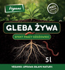 Gleba żywa - efekt pracy dżdżownic 5 l Vegano