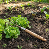 Pazurki ręczne z drewnianą rączką Pro Natura – Green Star