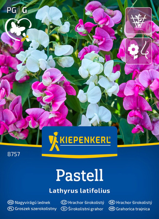 Groszek szerokolistny Pastell Kiepenkerl