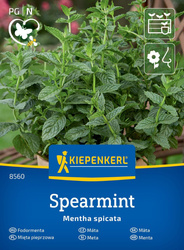 Mięta pieprzowa ,,Spearmint’’- Kiepenkerl