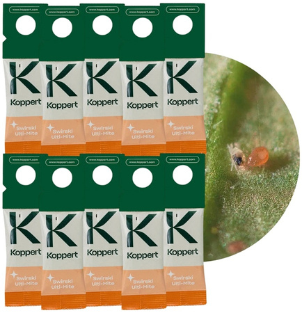 Dobroczynek Swirski 10 szt - Vegano