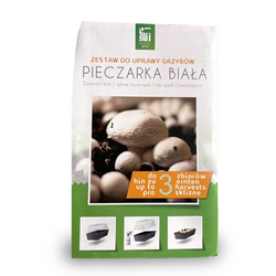 Zestaw do uprawy grzybów – Pieczarka biała– 3 l Exotic Grow