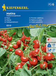 Pomidor sałatkowy ,,Matina” – Kiepenekrl