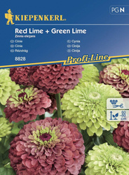 Cynia Red Lime + Green Lime – Kiepenkerl